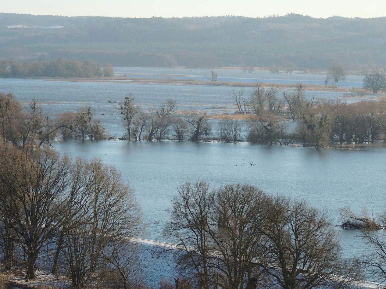 Kranichruf Apartment Schoneberg  Bagian luar foto